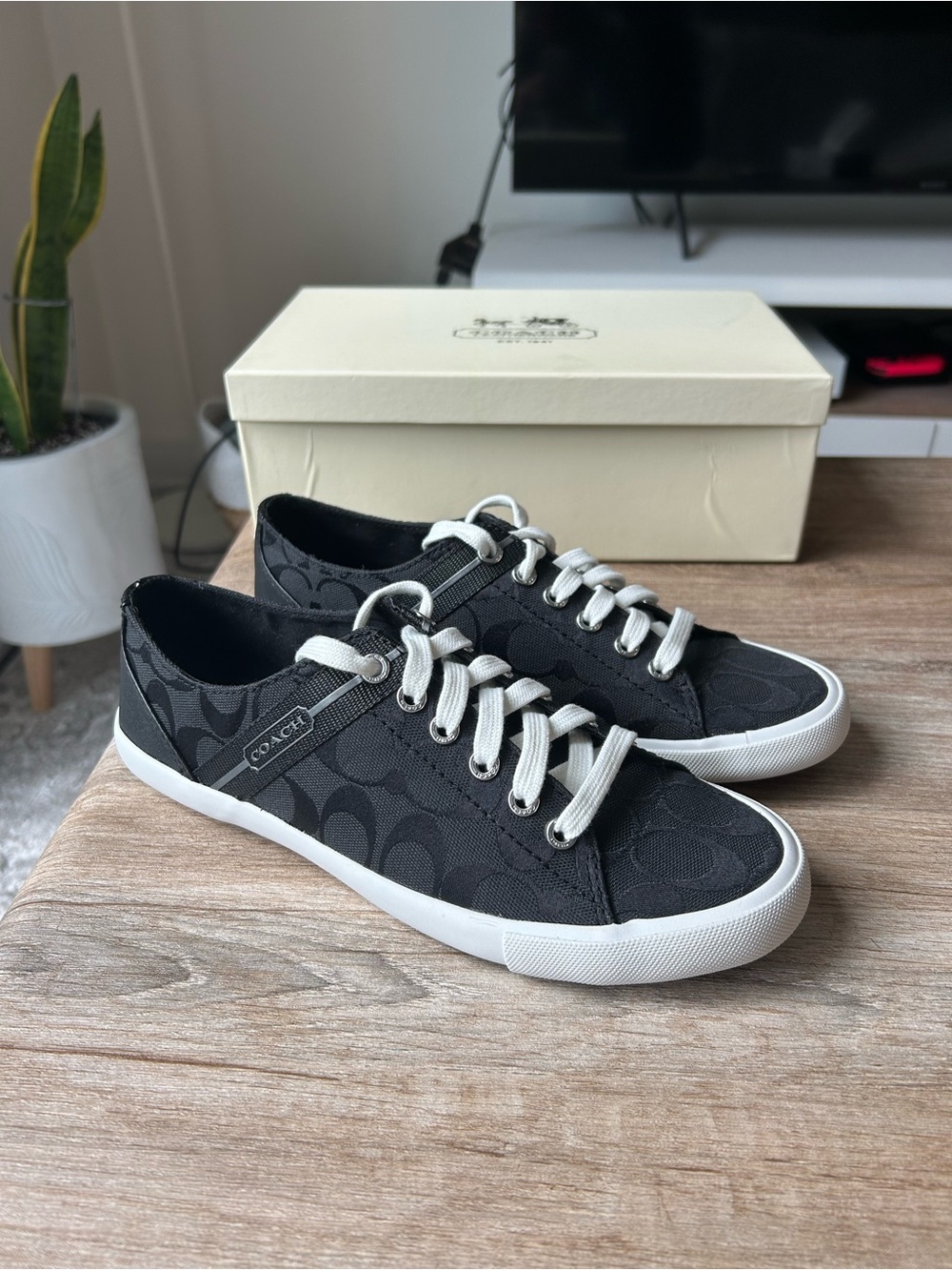 Coach Black Canvas Signature Low-Top Sneakers